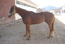 ȭ���Ѱ� (HWARYEOHANGIRL) ����