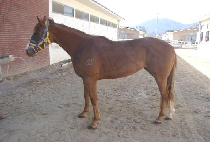 ȭ���Ѱ� ����