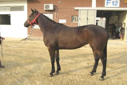 ���己 ����