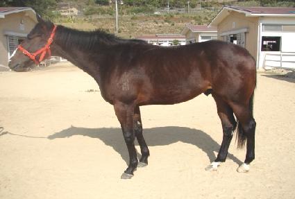 �����屺 ����