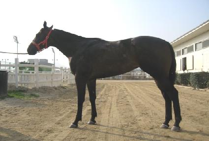 ��ռ� ����