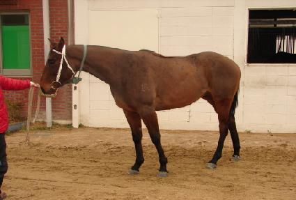 ��¥���� ����