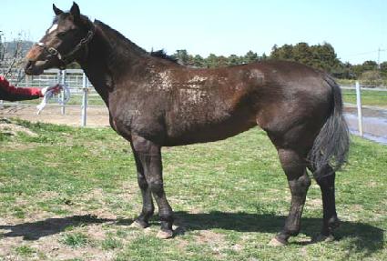 ���� ����