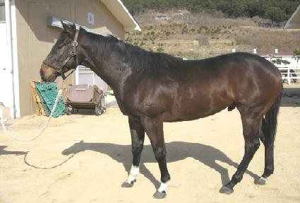 �����ְ� ����