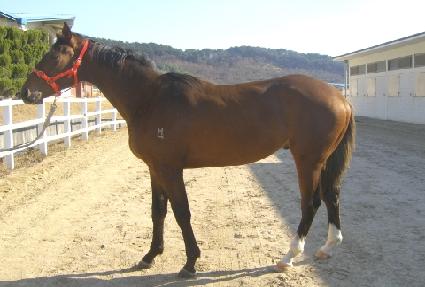 �ΰ������ ����