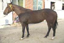 �����°��� (BINNANEUNGONGJU) ����