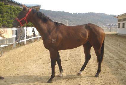 �ְ��Ǳ�� ����