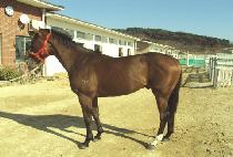 �ذ� (GEUKGANG) ����