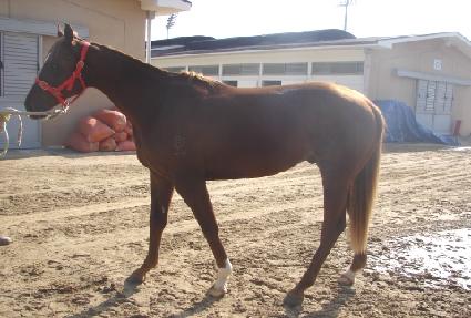 �ε帲 ����