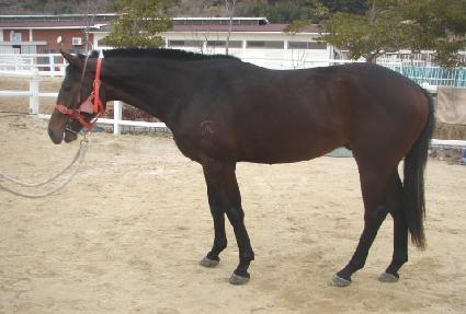 �귡������� ����