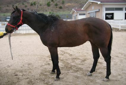 �������ǵ� ����