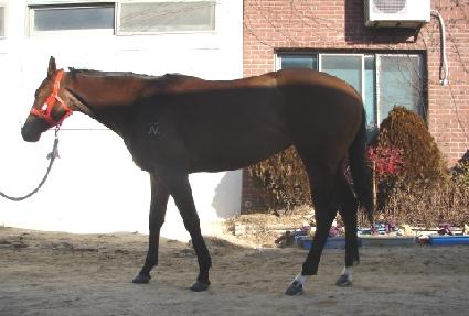 ���̽�����Ʈ ����