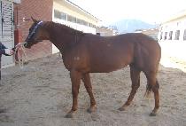 �����ְ� (NAMBUCHOEGO) ����