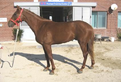 �ΰ濡�̽� ����