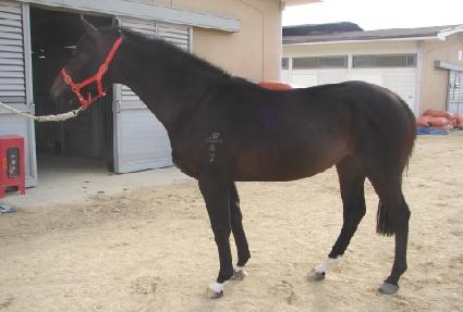 ���������� ����