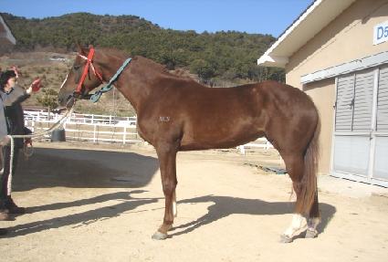 ��õ��޸� ����