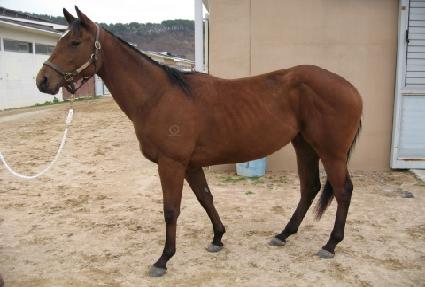 ��ٺ��� ����