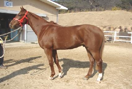 õ����� ����