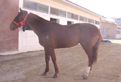 �������� ����