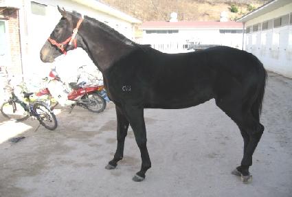 ��ǳ��� ����