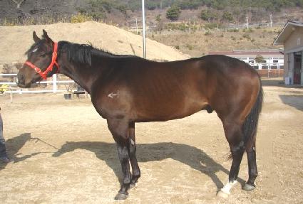 ��ٽ��� ����