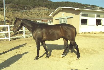 �ְ����� ����