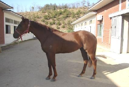 �ΰ�Ȳ���� ����