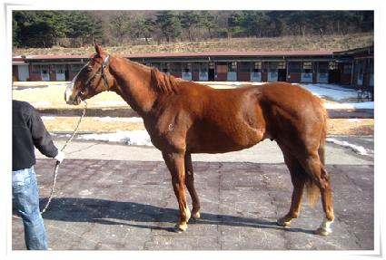 ��õ���� ����