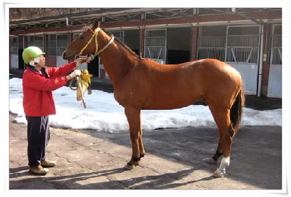 ���￵�� ����