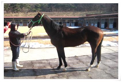 ������ŻĹ ����