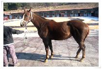 �Ž��� (PARK��S GEM) ����