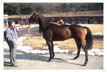 ���ø����� (SIMPLY BETTER) ����