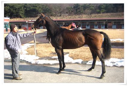 ���ø����� ����