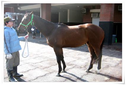 ���Ӹ� ����