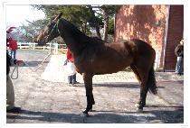 �Ŀ�Ŭ���� (POWER CLEANUP) ����