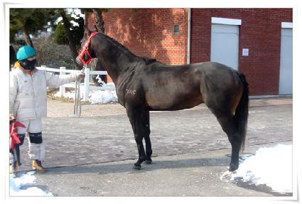 ����ں���� ����