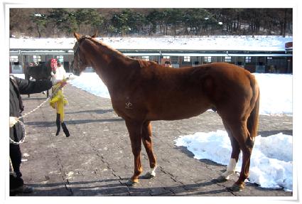 ���������� ����