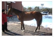 �޽ý�Ʈ��Ʈ (MESSY STREET) ����