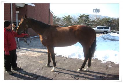 �޽ý�Ʈ��Ʈ ����