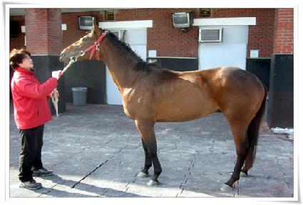 ���� ����