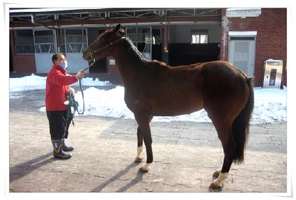 ��������ĭ ����