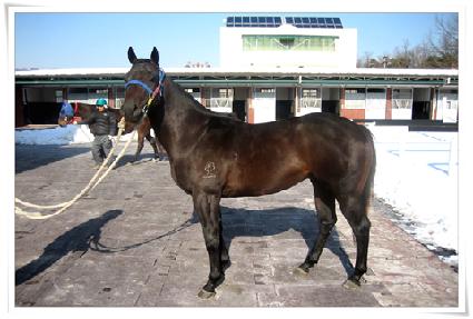 �Ϻ����� ����