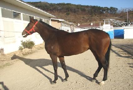 ����ź�� ����