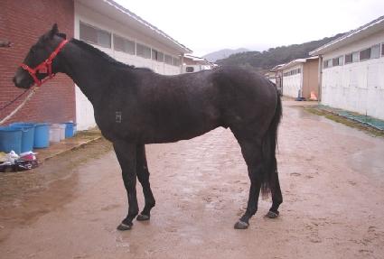 ��ȣ���� ����