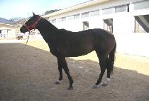 �����Ŀ� (DAEJI POWER) ����