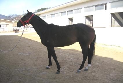 �����Ŀ� ����