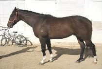 �ϼ���� (ILSEONGDAERO) ����