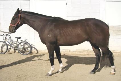 �ϼ���� ����