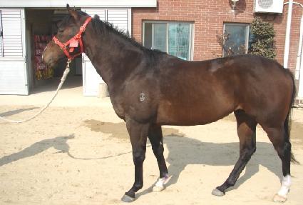 ���ڵ��� ����