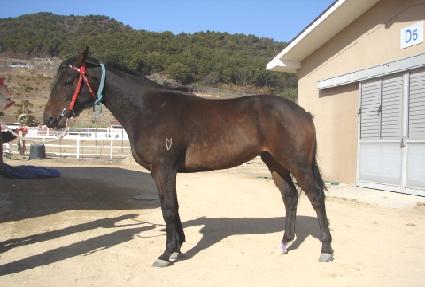 ��ȭâ�� ����